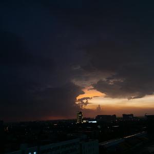 欧美人与兽性插插插
